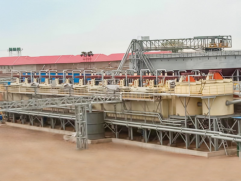 Zimbabwe Lepidolite 3000T/D Projekt przetwarzania minerałów - Zhejiang Dingsen Holding Co., Ltd.